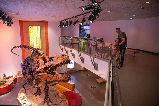 Special activities and regular displays are featured at the Royal Saskatchewan Museum over the Family Day long weekend. 