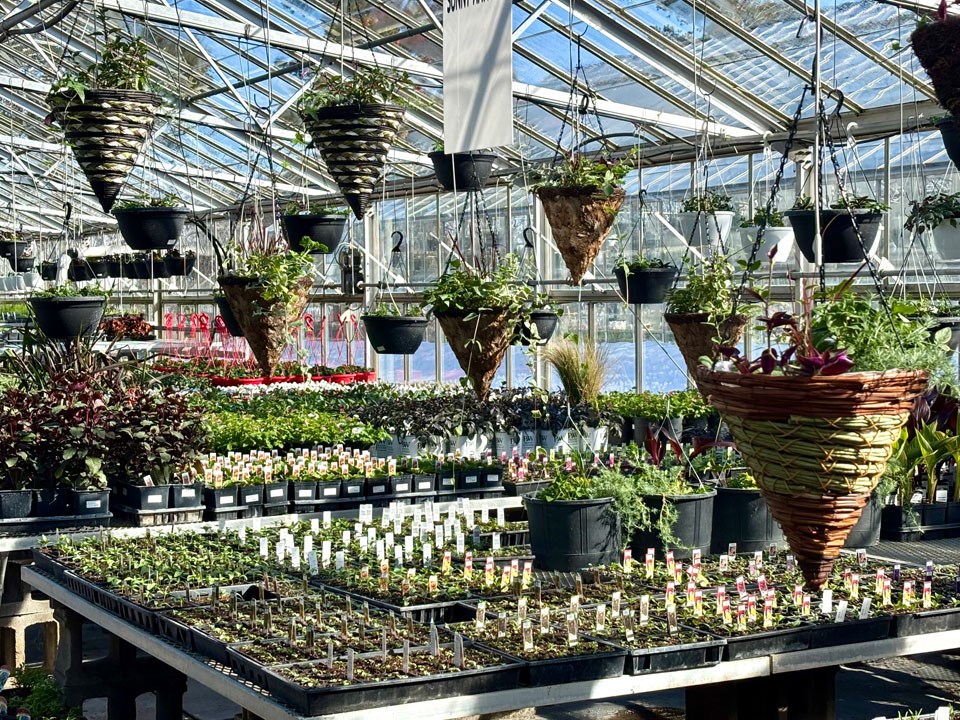 dieter-greenhouse