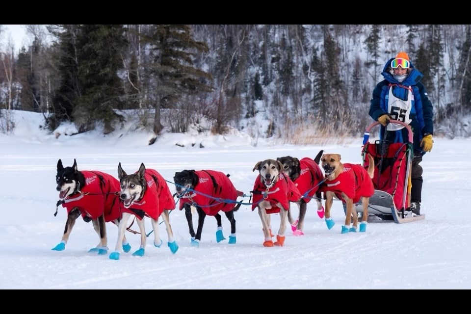 Eagle Ridge Sled Dog Kennel’s Monroe Mondor brings her team in after racing.