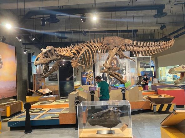 T. Rex Discovery Centre 4