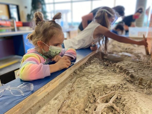 Children "discover" fossilized remains at the T. rex Discovery Centre.