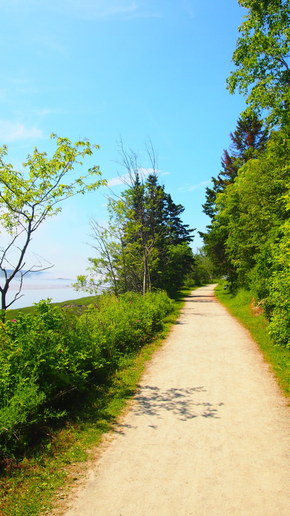 Trans Canada Trail