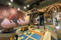 T.rex Discovery Centre opens May 21