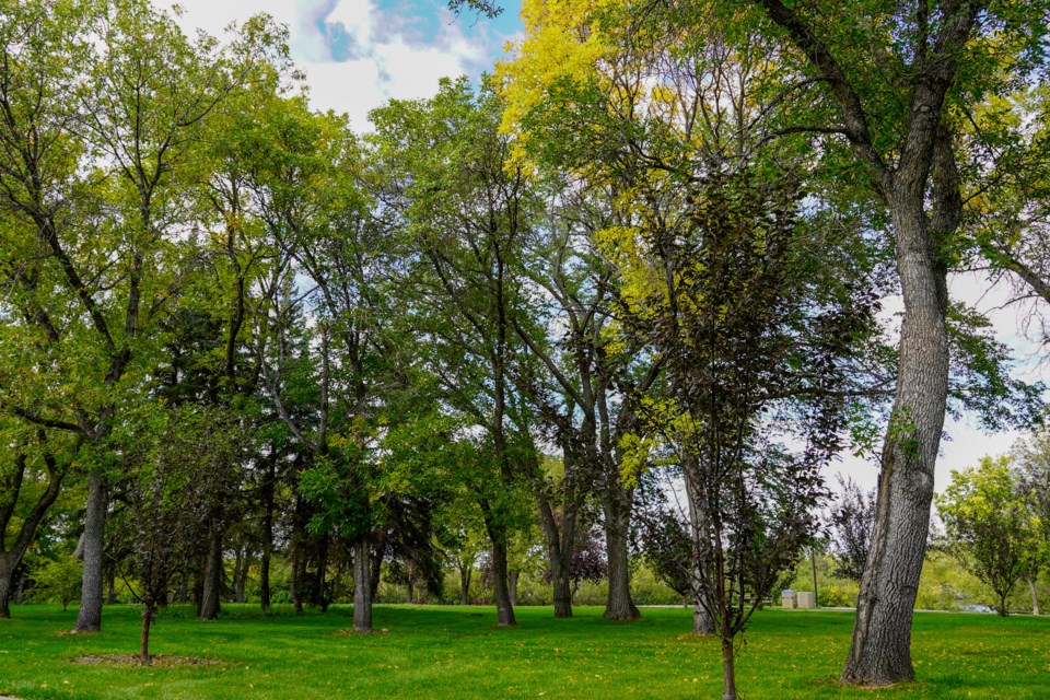 wascana centre trees