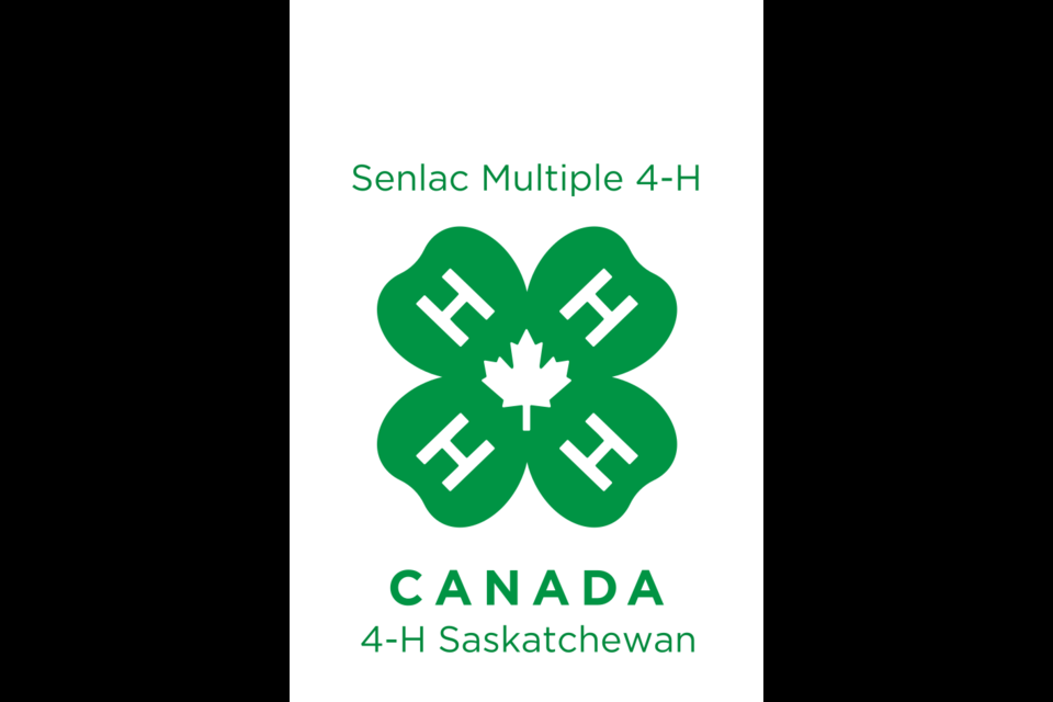 Plenty of activity upcoming for Senlac Multiple 4-H Club.