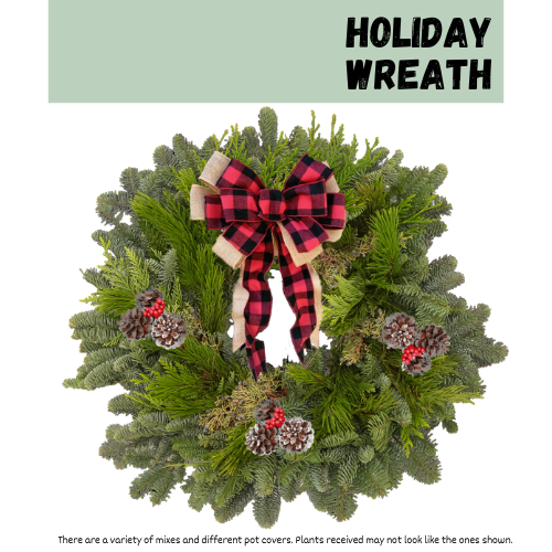 The Estevan Early Years Family Resource Centre is selling poinsettias, indoor planters, wreaths and other Christmas ornaments to raise money for events and projects.