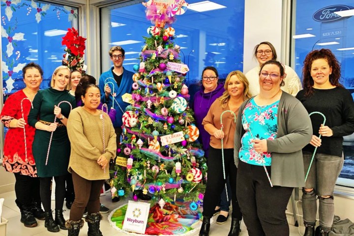 Family Place gearing up for Festival of Trees auction