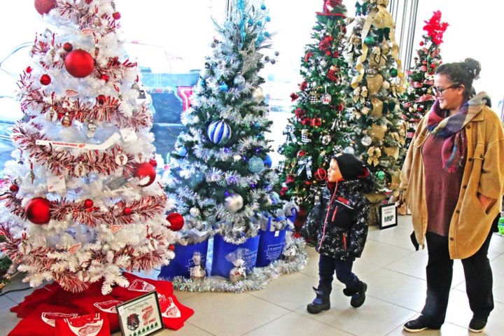 Colours, lights of Christmas highlight Weyburn's Festival of Trees