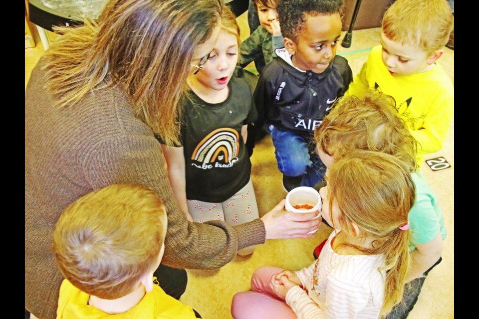 Kindergarten teacher Candice Porter showed her students the Rainbow trout eggs before they were placed in the class's aquarium.