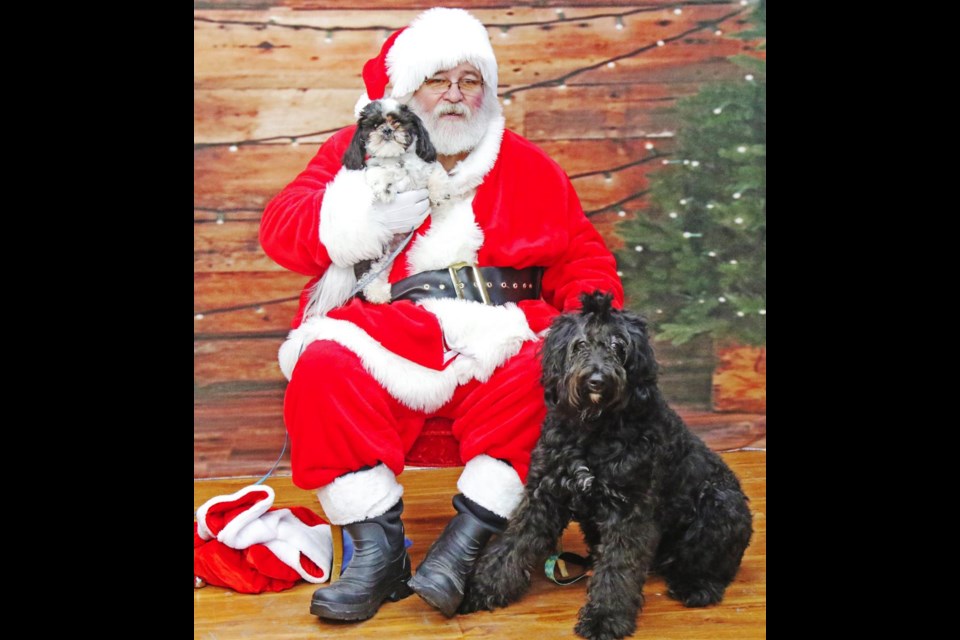 Santa was joined by Hendrix, a Shih-Tzu, and Harlow, a Golden Doodle, during the photos on Saturday.