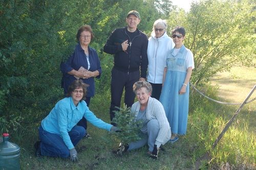 Tree planting preeceville