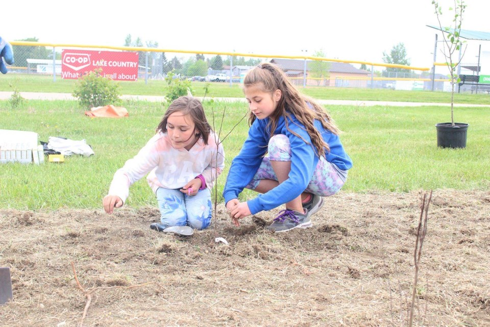 tree planting