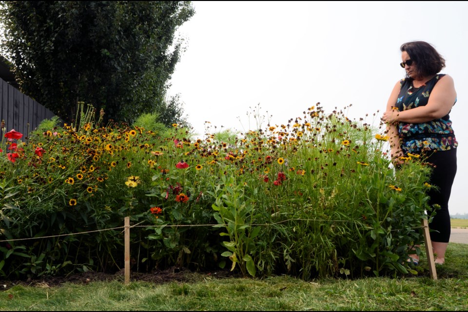 Fanterra Fisher-Belak checks out which bees are visiting her pollinator garden in the northwest corner of Unity Aug. 27.