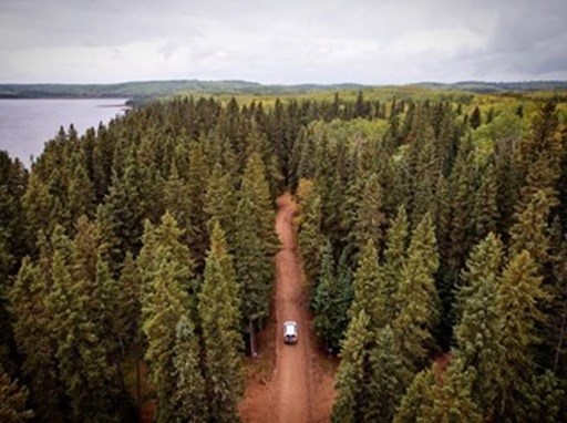 car-driving-in-park