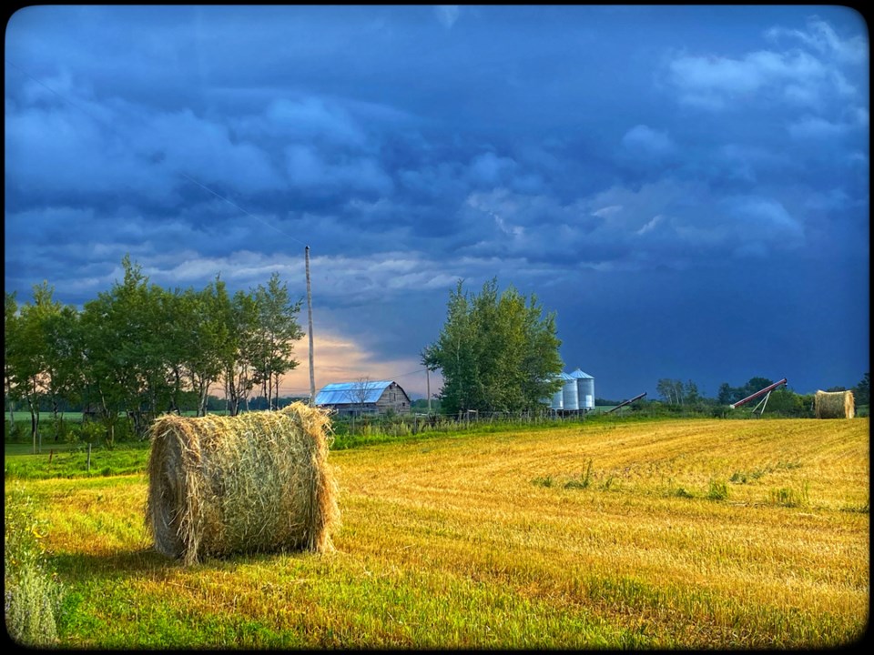 Carlyle Observer Photo of the Week for Aug 19