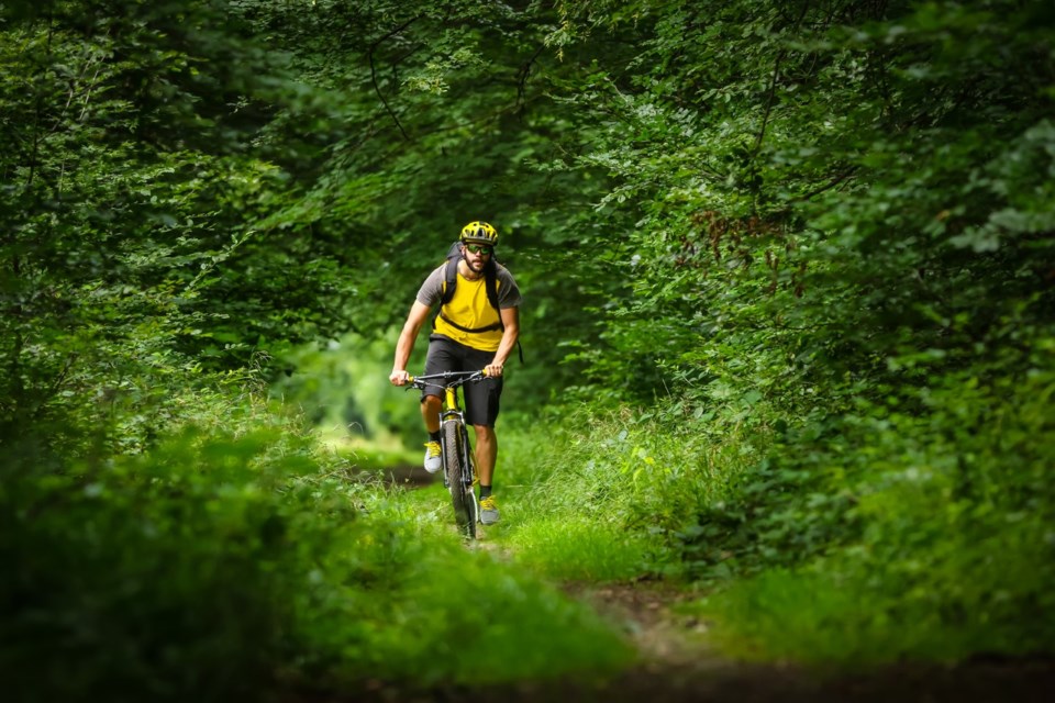 cycling-in-forest