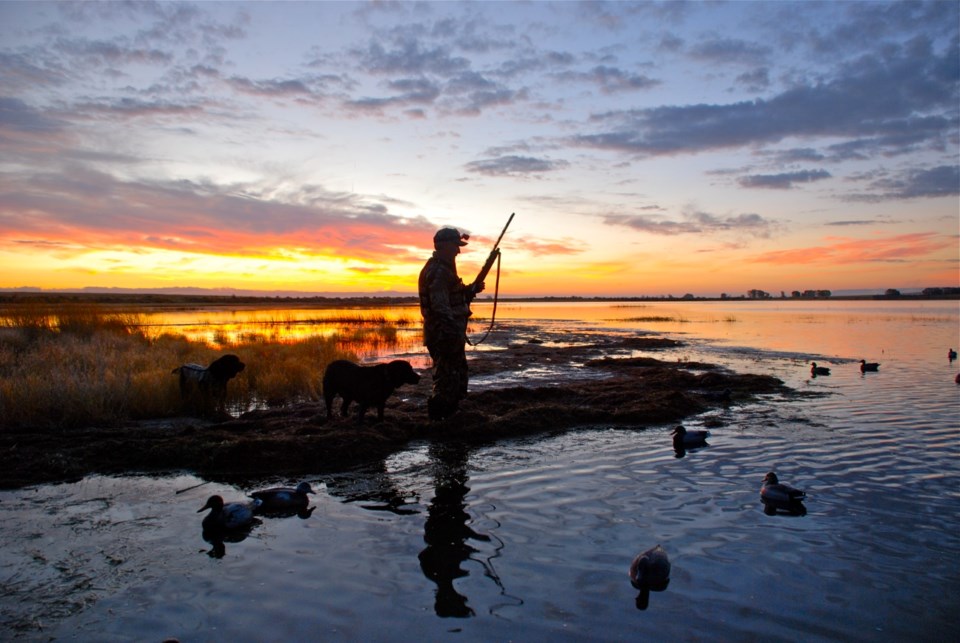 duckhunting0823