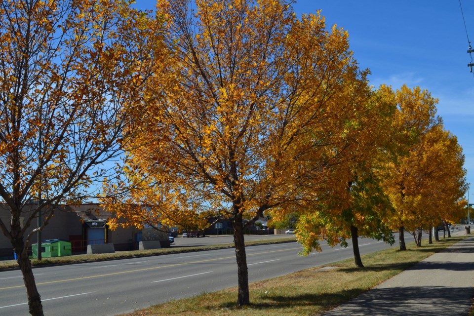 Fall in Estevan