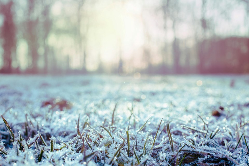 frozen-0125