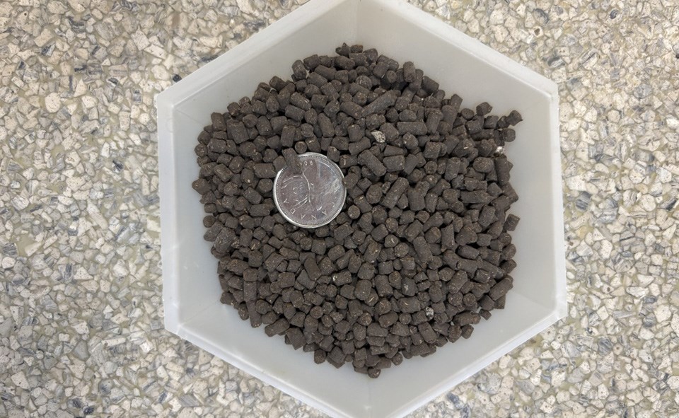 Probiotic soil conditioners are supplements containing beneficial bacteria, fungi and mycorrhizae. 