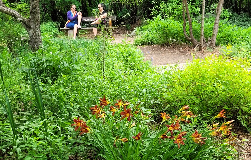 Visitors enjoying the relaxing atmosphere of the Robin Smith Meditation Garden.
