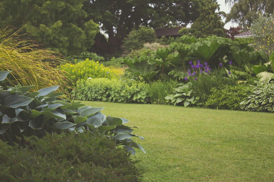 garden-scene-0725