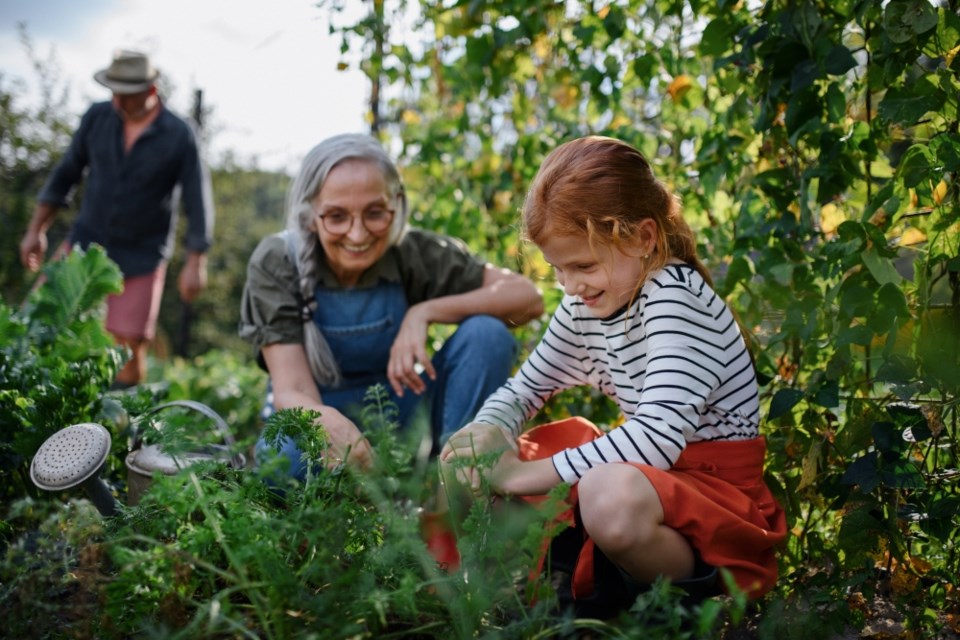 gardening-getty