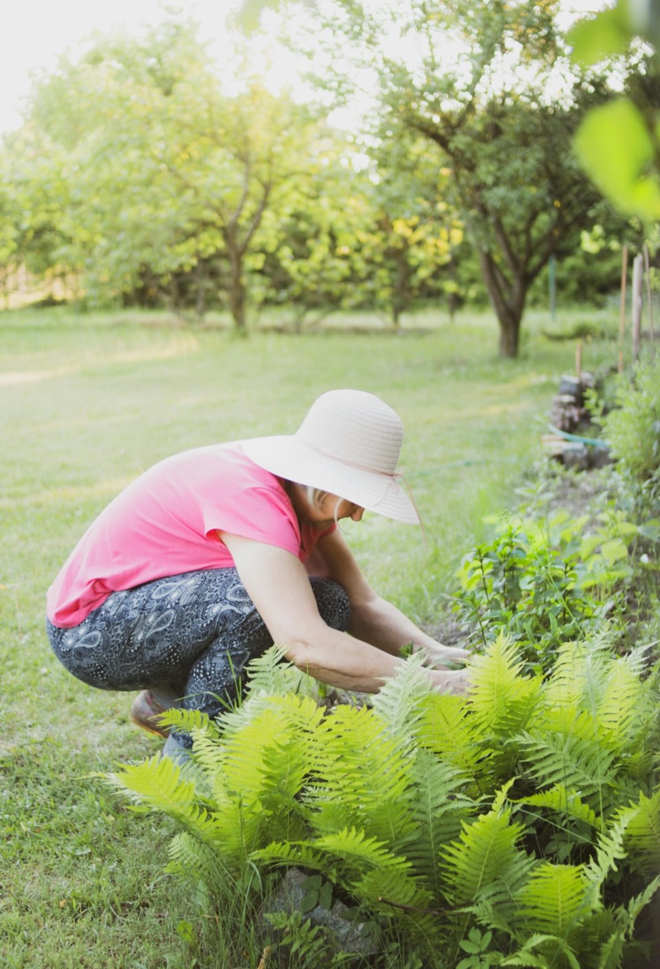 gardening0524