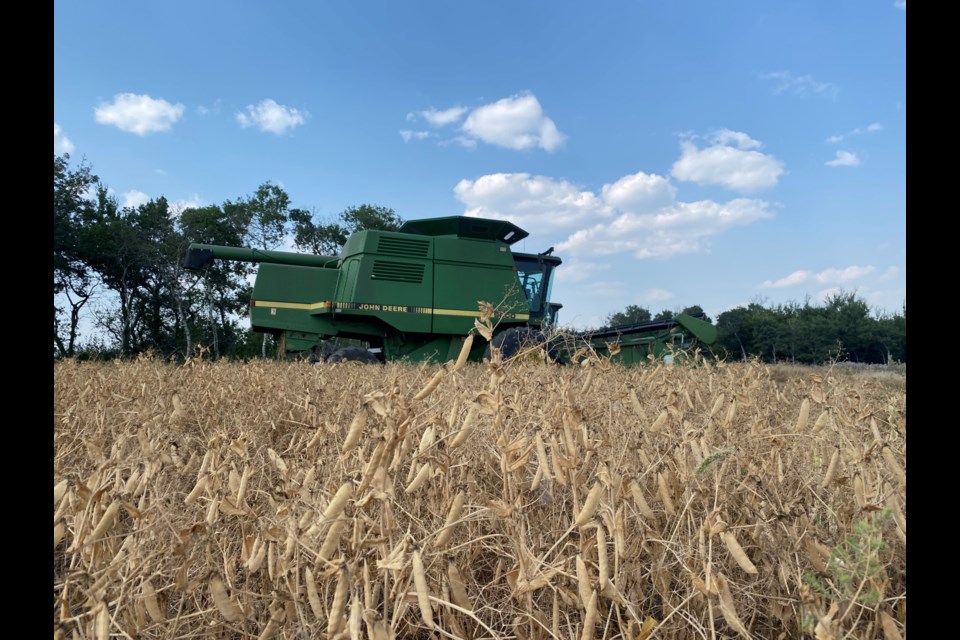 Harvesting is being done 6 miles northeast of Carlyle