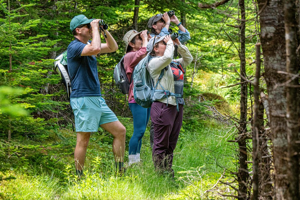 The NCC Backyard BioBlitz is an invitation to be part of something big, to pause, and explore the natural beauty around us – something we often overlook in the rush of daily life. 