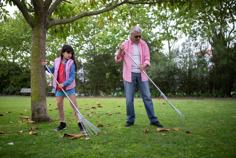 raking