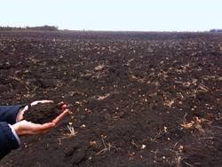 Healthy soils should comprise at least half its composition being pore spaces.