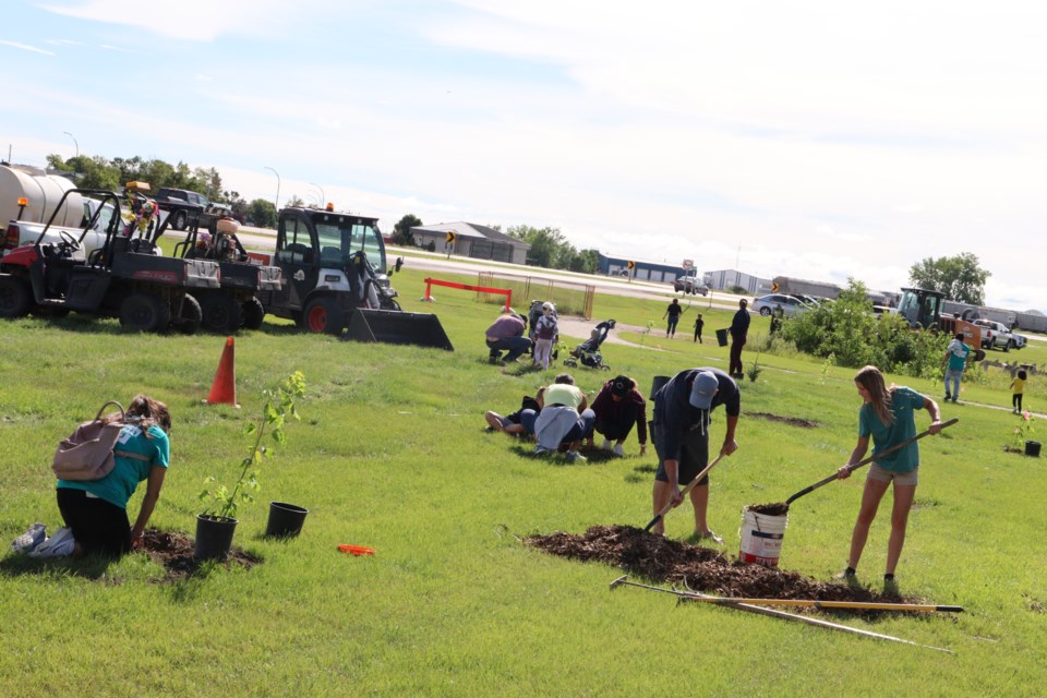 The City of Weyburn hosted the annual Tatagwa Tree Day event on August 6, to plant approximately 135 coniferous and deciduous trees. There were over 30 people who registered to help plant the trees.