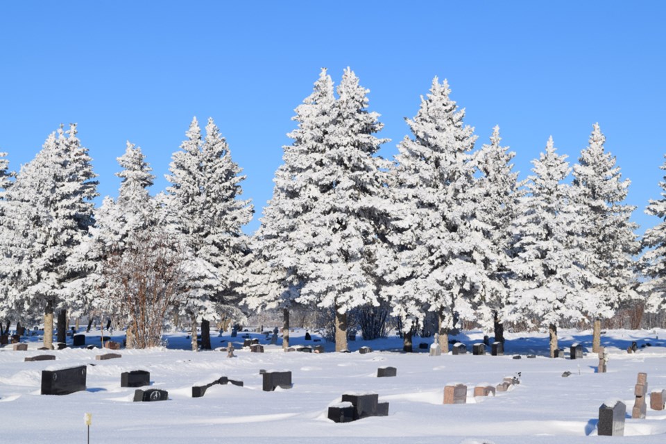 There was extra motivation for Canora and area residents to step outside to enjoy the outdoors early in the new year, as the trees in the Canora area were covered in glistening snow and hoar frost, including this row of evergreens at the Canora cemetery photographed on Jan. 7.

