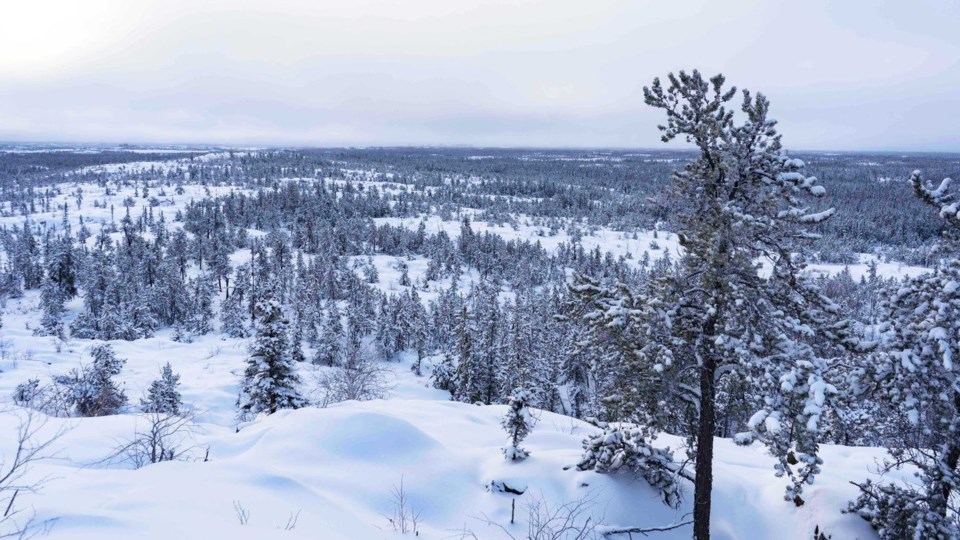 Yellowknife Snow