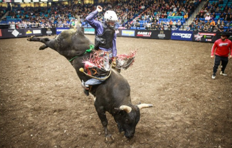 pbr-bull-rider-pbr-canada-website