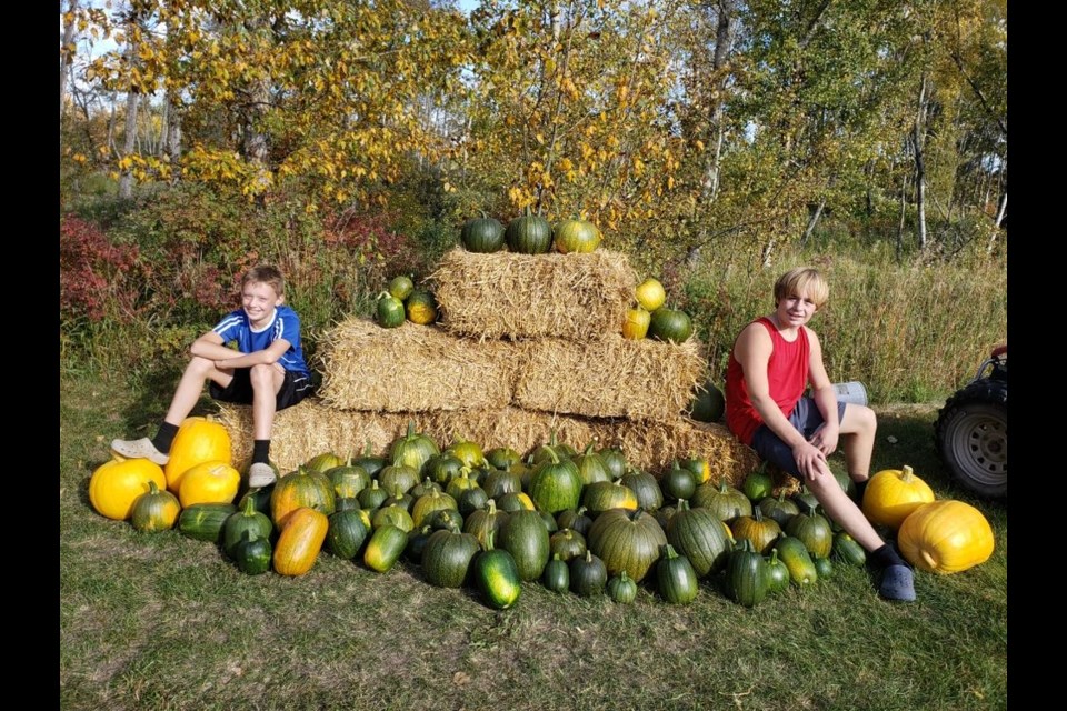 Wyatt and Carter Scheller of Ketchen area posed for a fall picture with some of their over 100 pumpkins that were grown at the family farm.

