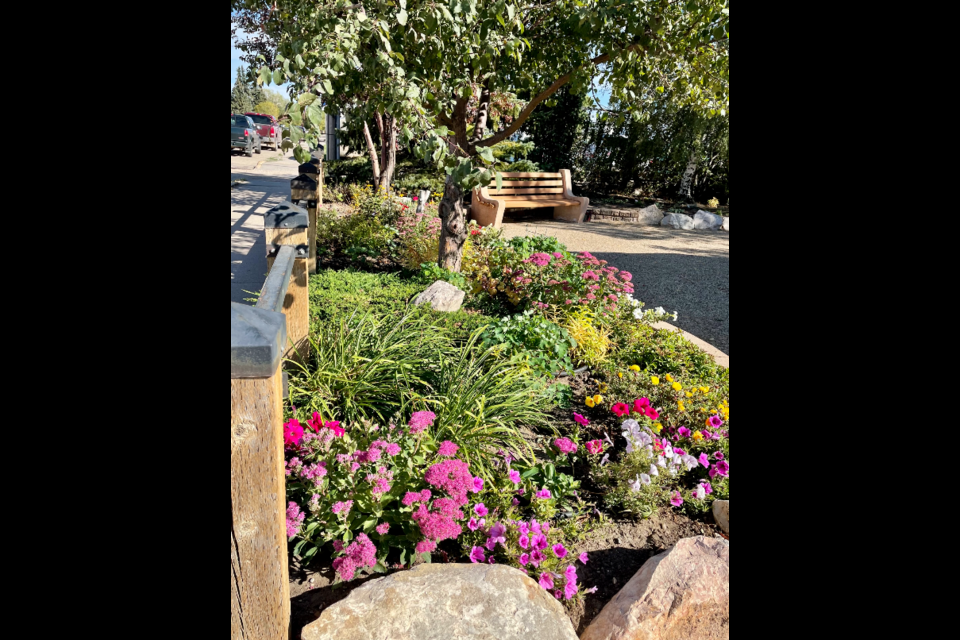 Her submitted photo captured Central Park in Assiniboia