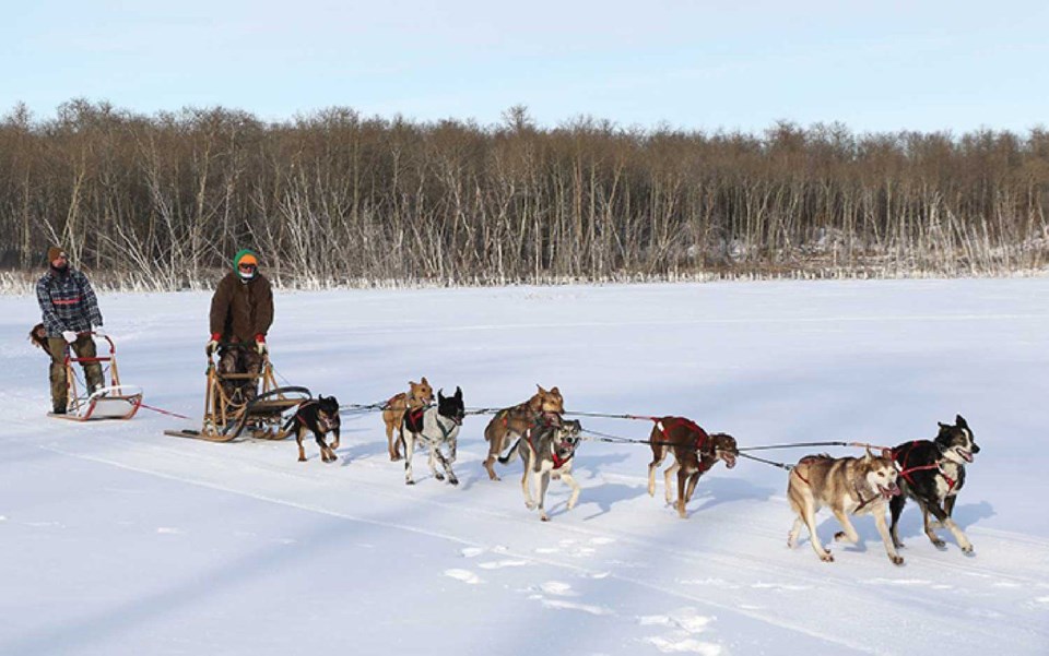 Eagle Ridge Dog Sled Tours