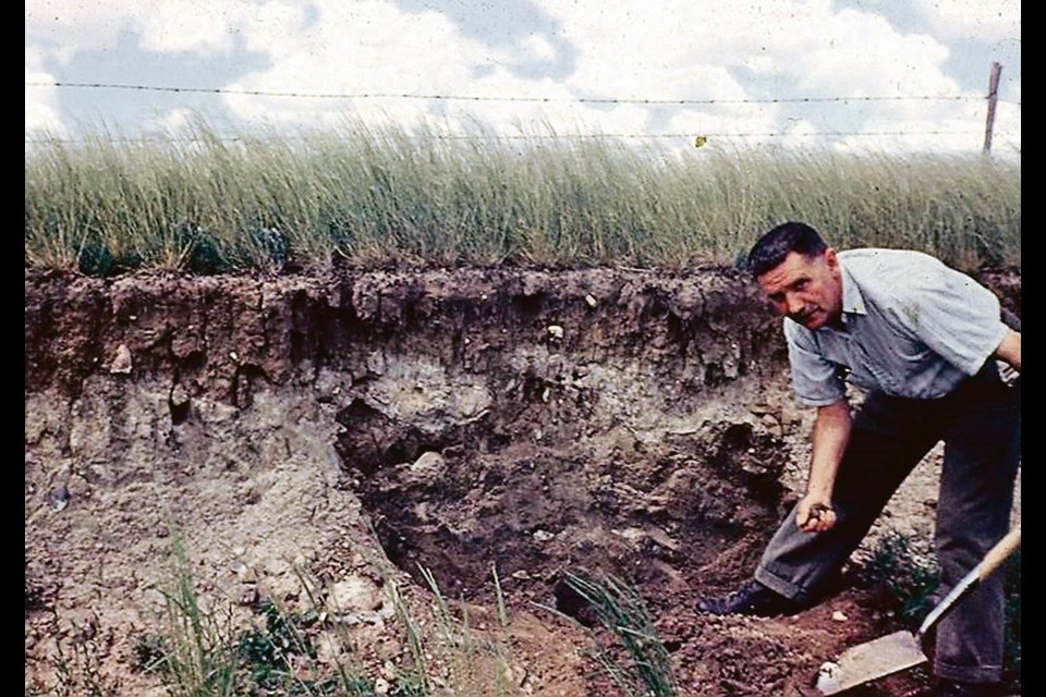 Harold Moss profiles some soil five miles south of Lafleche, Sask., in July 1953.