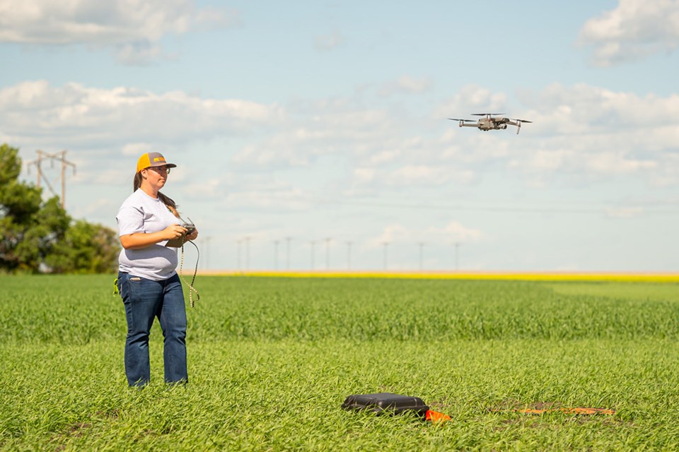 USask graduate student Kaylie Krys flies a drone above a Saskatchewan crop. 