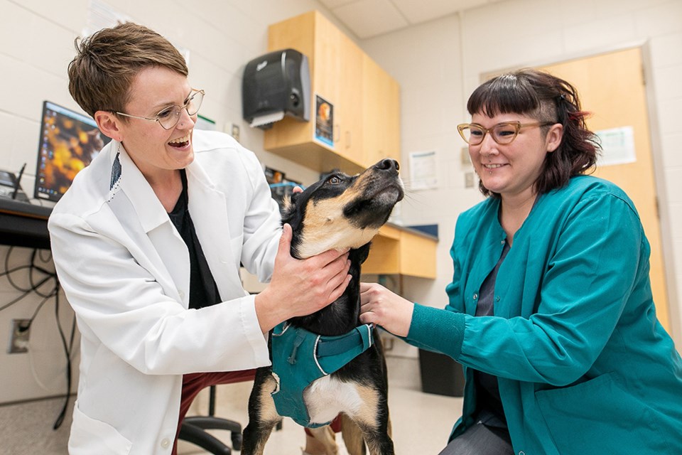 Dr. Jordan Woodsworth (left), a veterinarian and director of NECO, and Katara Chanin, a registered veterinary technologist with the northern outreach program, examine a canine patient. 