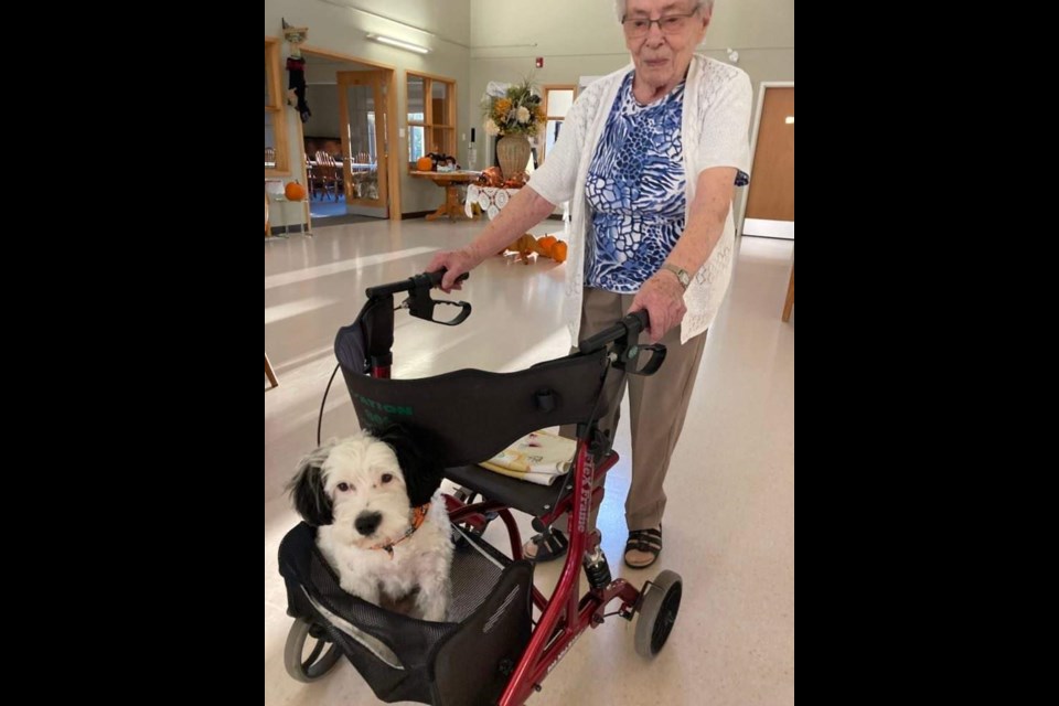 Parkview Place residents and staff benefit daily from the pet therapy and friendship offered by Scout.