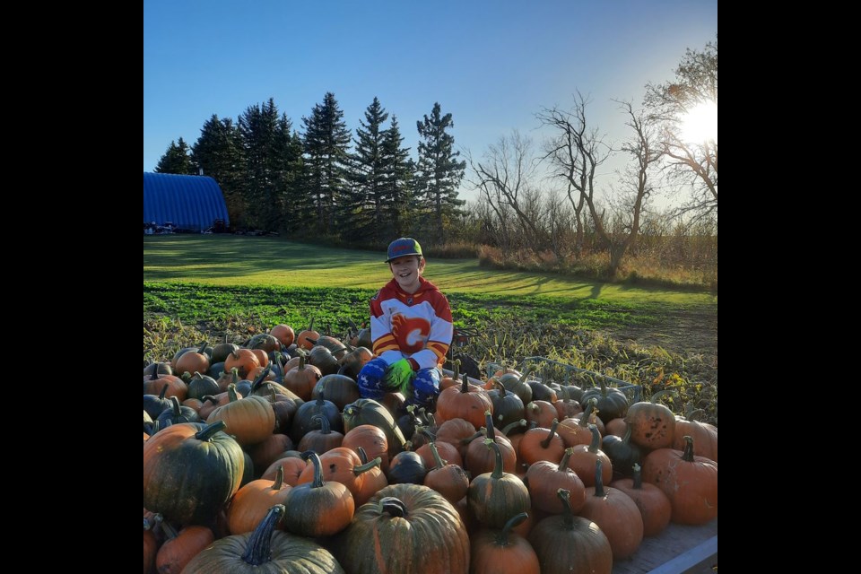 In what is becoming a Halloween tradition, Elly Carlson of Canora has donated hundreds of pumpkins to groups and individuals in Canora and the surrounding area once again this year. In this photo, her son Lucien was taking a close look at the strong pumpkin yield this year from their field near the Mazeppa Church. / Elly Carlson

