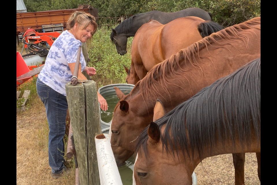 Gina Bowler has a special relationship with all her 'teacher' horses.