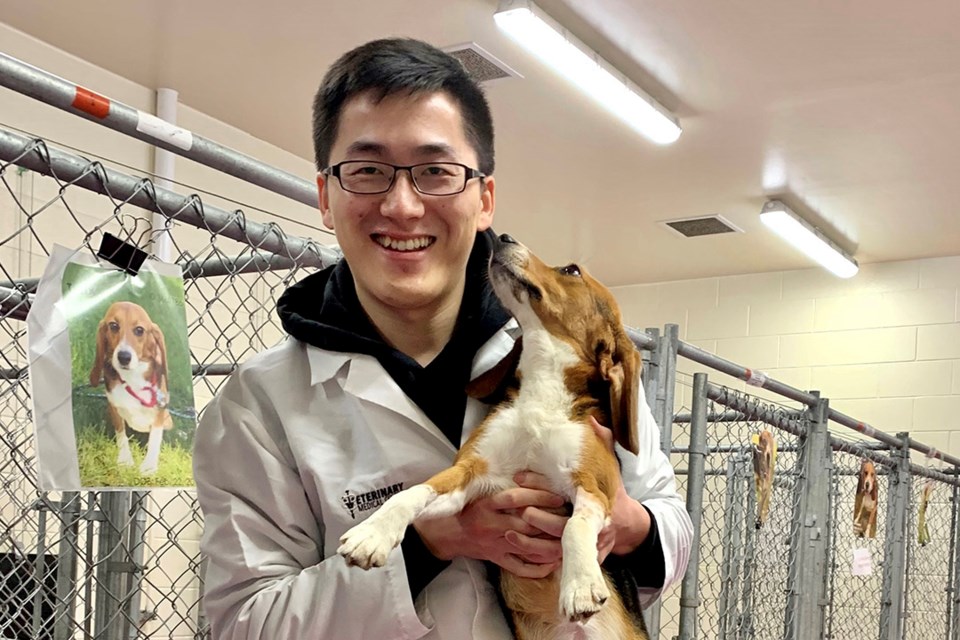 Yikai Ren with one of the research beagles who participated in his low-glycemic pet food study. 
