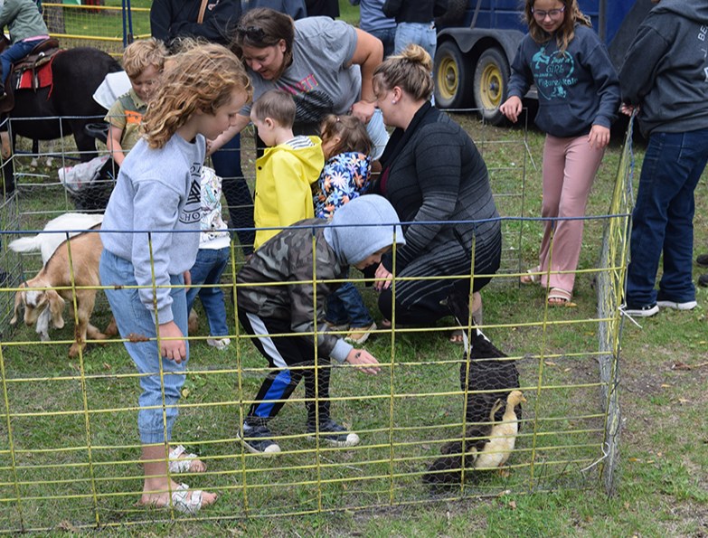 The Good Spirit Petting Zoo was a favourite hangout for the young and the young at heart at the Live & Play Street Festival. 
