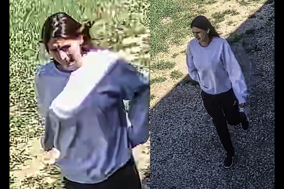 This female is being sought for theft of a package from a mailbox belonging to a business in Borden.