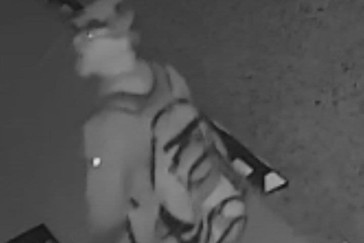 Know this man? RCMP seek suspect in Carlyle theft of cash, hamster