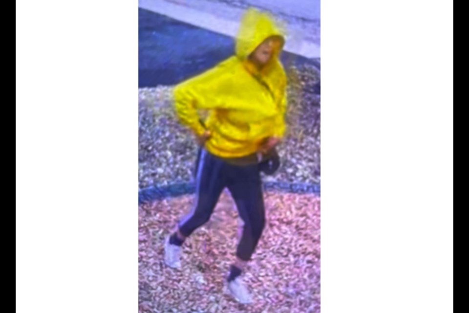 Investigators are looking to speak to the individuals depicted in these photos.